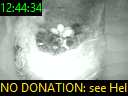 12:44:34