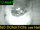 12:44:47