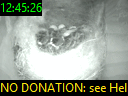 12:45:26