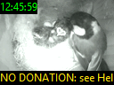 12:45:59
