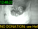 12:48:22