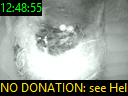 12:48:55