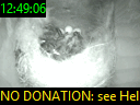 12:49:06