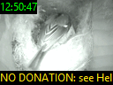 12:50:47