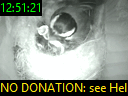 12:51:21