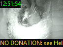 12:51:54