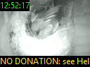 12:52:17
