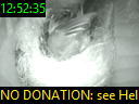 12:52:35