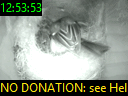 12:53:53