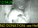 12:54:26