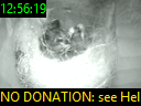 12:56:19