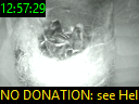 12:57:29