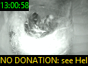 13:00:58