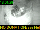 13:01:29