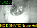 13:02:05