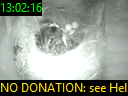 13:02:16