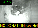 13:02:50