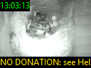 13:03:13