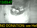 13:03:47