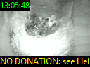 13:05:48