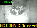 13:06:21
