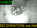 13:06:59