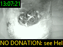 13:07:21