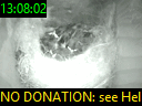 13:08:02