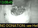 13:08:45