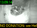 13:09:14