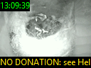 13:09:39