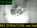 13:12:42