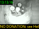 13:13:16