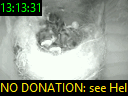 13:13:31