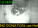 13:14:05