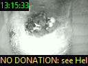 13:15:33