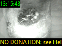 13:15:43