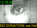 13:18:26