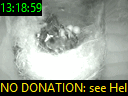 13:18:59