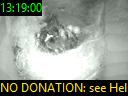 13:19:00