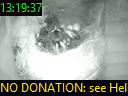 13:19:37