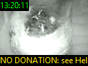 13:20:11