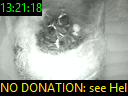 13:21:18