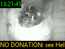 13:21:45