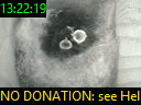 13:22:19