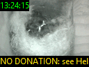 13:24:15