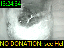 13:24:34