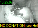 13:25:07