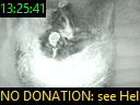 13:25:41
