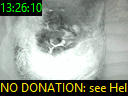 13:26:10